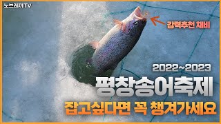 평창송어축제 많이 잡는법 꿀팁공개 포인트 채비 얼음낚시 평창송어축제 [upl. by Rezal524]