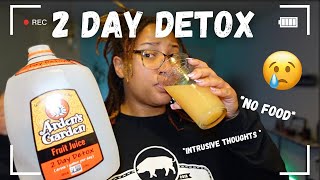 I Did The Arden’s Garden 2 Day Detox [upl. by Rafi]