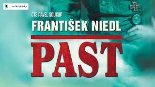 František Niedl  Past  Audiokniha [upl. by Malilliw]