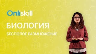 БИОЛОГИЯ 10 класс  Бесполое размножение  Видеоурок [upl. by Skees624]