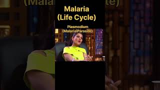 Malaria 🤣 funny neet biology [upl. by Cliff599]