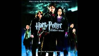 Hedwigs Theme Adapted by Patrick Doyle  Hedwigs Theme Adaptado por Patrick Doyle [upl. by Laup788]