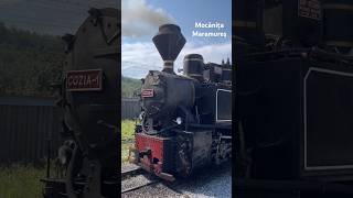 Mocănița Maramureș Valea Vaserului mocanitamaramures mocanita tren train trains maramures [upl. by Essile702]