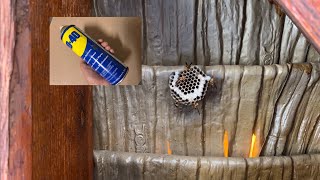 WD40 vs Wasps Nest [upl. by Katha835]