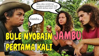 DI EROPA GA ADA JAMBU KIRAKIRA DOYAN GAK YA BULE YUNANI INI DISUGUHIN JAMBU [upl. by Slade]