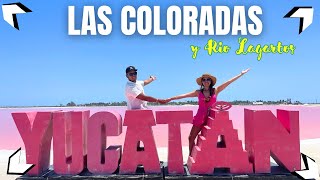 ✅LAS COLORADAS y RIO LAGARTOS 2024 ►El Mejor tour de Cancún🦩 Costos y Actividades [upl. by Malcolm]