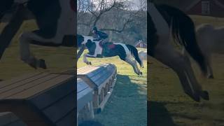 Did a cross country lesson on meadow jumped over 3ft for the first time [upl. by Calderon]