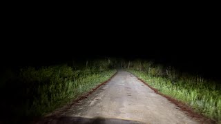 Night driving in the lonely swampSpooky forest road ASMR [upl. by Brunn]