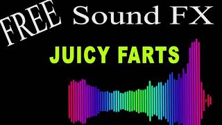 Free Sound Effects  10 Minutes of JUICY FARTS with AUDIO LEVELS  HD [upl. by Nyluqcaj494]