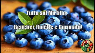 Il Mirtillo Benefici Ricette e Curiosità [upl. by Aled]