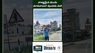 నాణ్యమైన మద్యం ఎఫెక్ట్ ఒకసారి చూడండి Dhruva tv telugu [upl. by Arej]