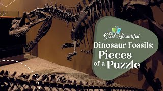 Dinosaur Fossils Pieces of a Puzzle  Paleontology  The Good and the Beautiful [upl. by Coombs]