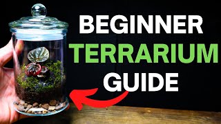 How To Make a Terrarium  A SIMPLE Beginner Guide [upl. by Harrington]