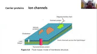 Transport across Biological Membranes I Passive Transport [upl. by Trilbee]