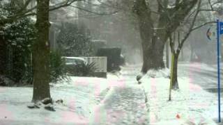 Ninge iar pe strada mea Ilie Micolovflv [upl. by Eloccin443]