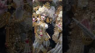 Tere naam ka deewana shortvideo youtubeshorts radhakrishna [upl. by Eirelav]