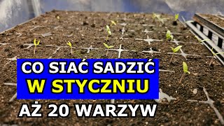 Co siać sadzić w Styczniu jakie prace w Ogrodzie  Kalendarz Warzywnika Ogrodnika Terminarz Siewy [upl. by Strickman]