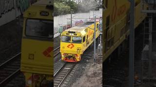 Aurizon Container Train railfanning train [upl. by Isnam]