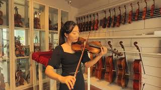 Shaojun Violin Shop SJV01 Beginner Student Violin [upl. by Hube]