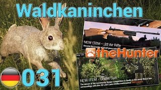 The Hunter 2014 SP Full HD  031  Waldkaninchen 22 Luftgewehr Ghillie  DE [upl. by Annoyk191]