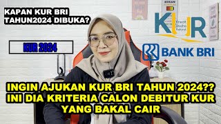 KRITERIA CALON DEBITUR KUR BRI TAHUN 2024 YANG AKAN DITERIMA BANK [upl. by Og319]