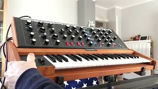 Minimoog Voyager OS through a guitar FX pedal [upl. by Artemis695]