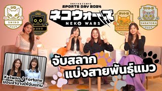 จับสลากแบ่งสายพันธุ์แมว BNK48 amp CGM48 Sports Day 2024 quotNeko Warsquot  BNK48 amp CGM48 [upl. by Clo]