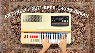 Antonelli Air Organ with Tc Perform VE and Volca Beats [upl. by Tilda852]