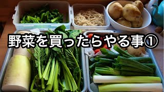 【野菜の保存】保存容器の使い方がスゴイ！これで野菜を無駄にしない！主婦目線の野菜の下準備 [upl. by Ahtrim]