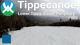 Waterville Valley  Tippecanoe to Lower Tippy to Lower Periphery via Sidewinder [upl. by Aicirtel]