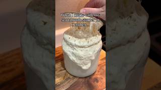 What I made with my sourdough starter in October sourdoughrecipes [upl. by Eycal32]