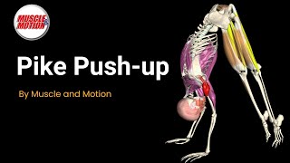 Master the Pike PushUp Shoulder Press Reimagined [upl. by Monty561]