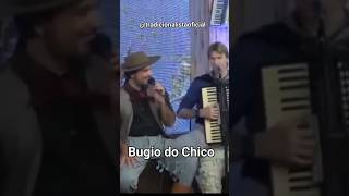 Os Serranos  Bugio do Chico 🎶🎵 shorts tradicionalista músicagaúcha osserranos [upl. by Naleag]