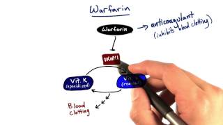 Warfarin  Tales from the Genome [upl. by Marzi]