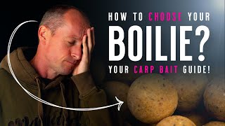 HOW TO CHOOSE A BOILIE Carp Fishing Baits Knowhow Your Bait Guide Mainline Baits Carp Fishing TV [upl. by Nies]