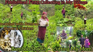 Fiddlehead Fern collecting in My Village  Bamboo shoots Cooking and Eating 😋🤤 [upl. by Otilopih]