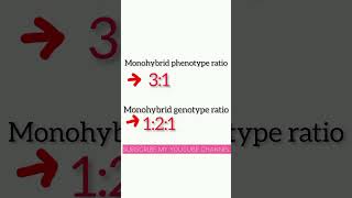 father of geneticmonohybrid genotype and phenotypic ratiobiologyshort vediosure sur [upl. by Nasya]