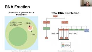 Webinar 11  Beginners guide to bulk RNASeq analysis [upl. by Sirod]