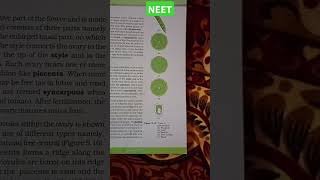 MORPHOLOGY OF FLOWERING PLANTS placentation typeMarginalAxileParietalFree central Basal neet [upl. by Argent870]