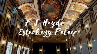 Joseph Haydn 🎼 🎶🍷⭐ Esterházy Palace in Eisenstadt Austria [upl. by Kramer]