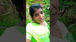 Pattuvanna rosavam song love Jayanthig1b [upl. by Amitak]