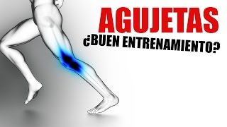 AGUJETAS ¿INDICAN SI HE ENTRENADO BIEN [upl. by Mcleod79]