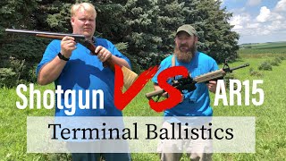 12ga Shotgun Vs Ar15 Terminal Ballistics [upl. by Aurore]