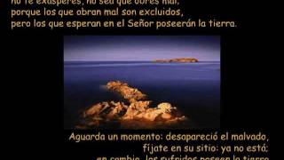 OREMOS CON EL SALMO 36 [upl. by Gnof541]