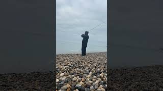 Brighton shore fishing brighton fishing spinningfishing viralvideo seabass sea uk [upl. by Harbird]