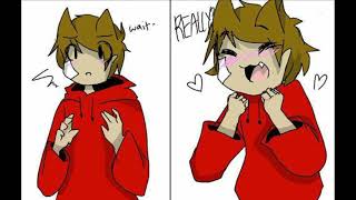 TomTord comics  Eddsworld  Dedicated to Nikki Chan  Mein Zarx [upl. by Zoeller]