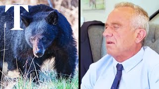 Robert F Kennedy Jr admits dumping body of dead bear in New York City [upl. by Eerpud952]