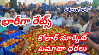 18092024 kolar tomato market ratetoday Kolar tomato market price kolartomatomarkettomato [upl. by Allenod481]