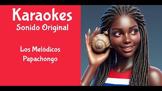 Los Melodicos Papachongo Karaoke [upl. by Etselec]