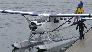 De Havilland Canada DHC2 Beaver Engine Startup and Takeoff [upl. by Heidi76]